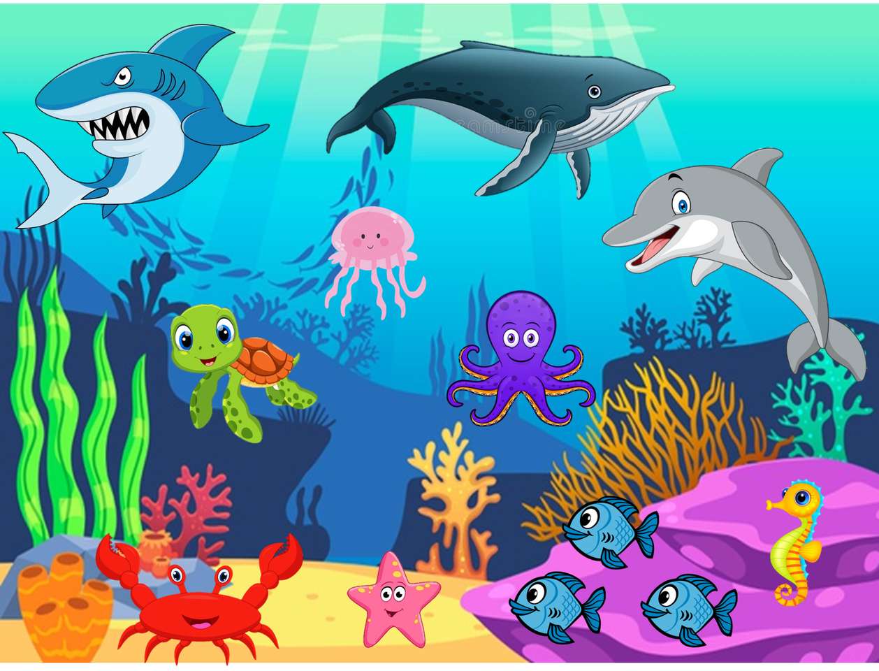 Ocean zwierzęta puzzle online