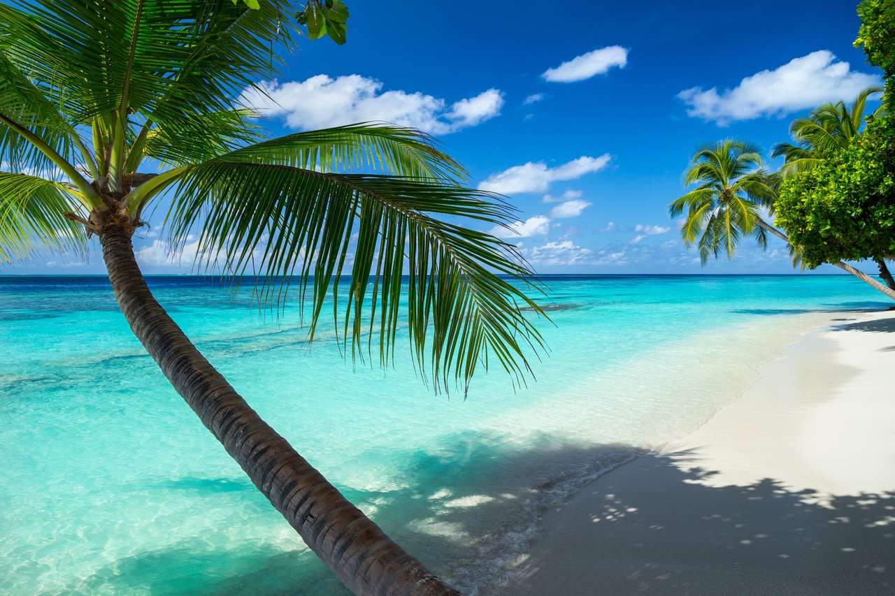 Coco Palms a Paradise Beach-en kirakós játék