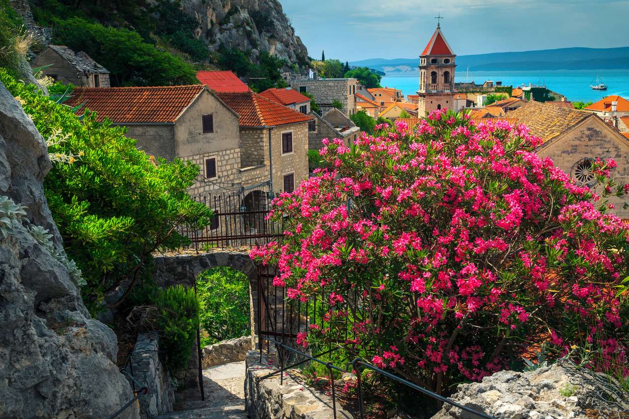 Oleander kwiaty i kamienne domy w Omis Resort puzzle online