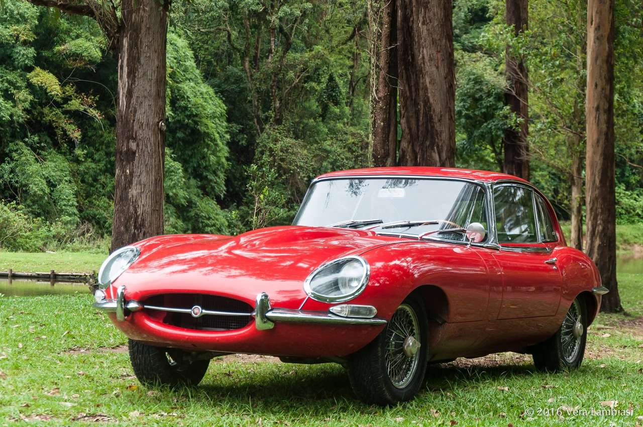 1967 Jaguar E-typ puzzle online