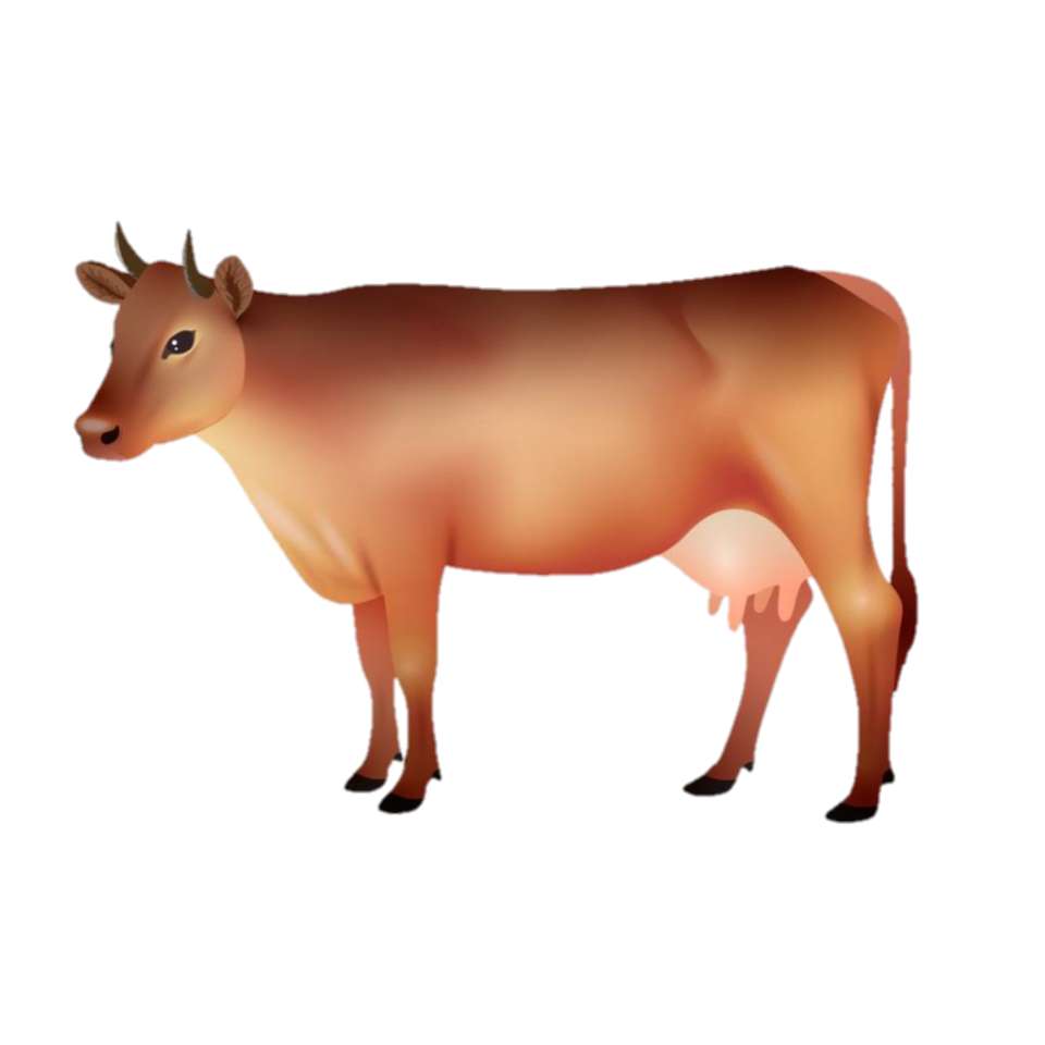 Krowa Maram. puzzle online