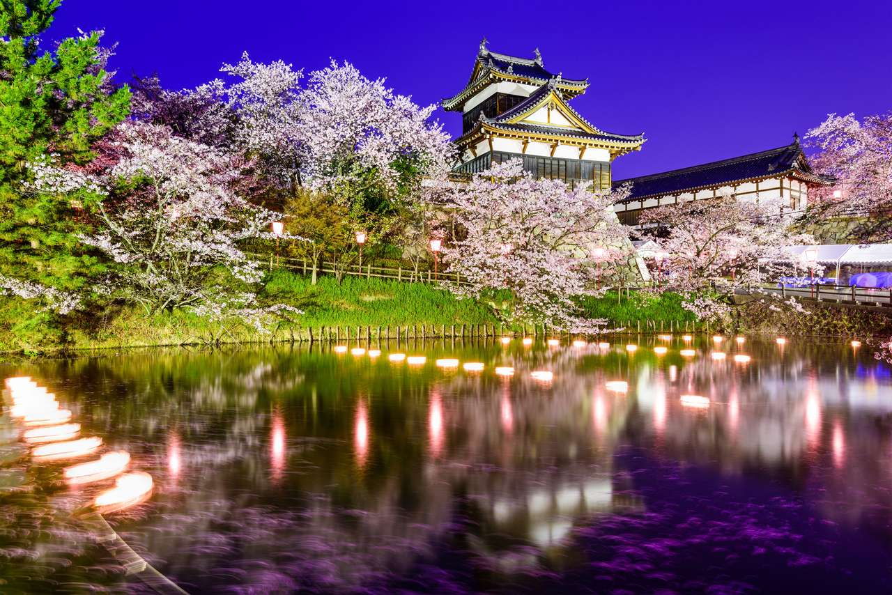 Nara, Japonia w zamku Koriyama w sezonie wiosennym. puzzle online