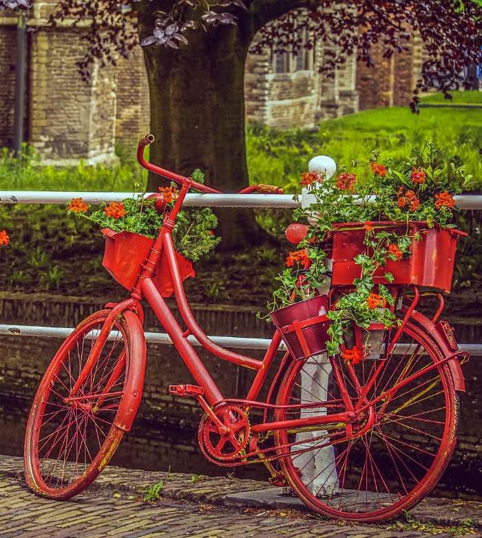 Bicicleta como decoración para flores. rompecabezas