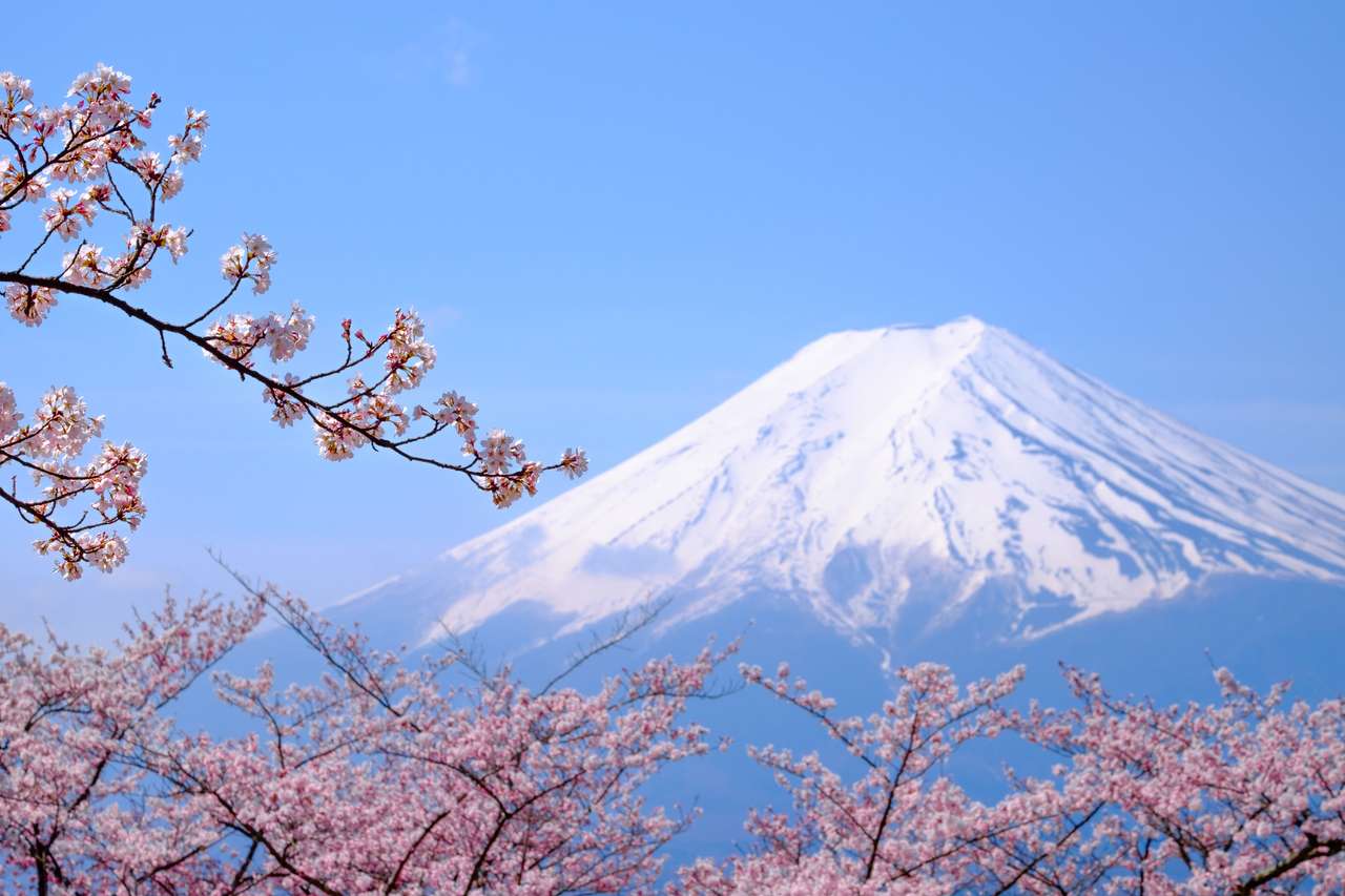 Góra Fuji i Kwiat Wiśni w Japonii Sezon Wiosenny (Japanese Call Sakura ) puzzle online