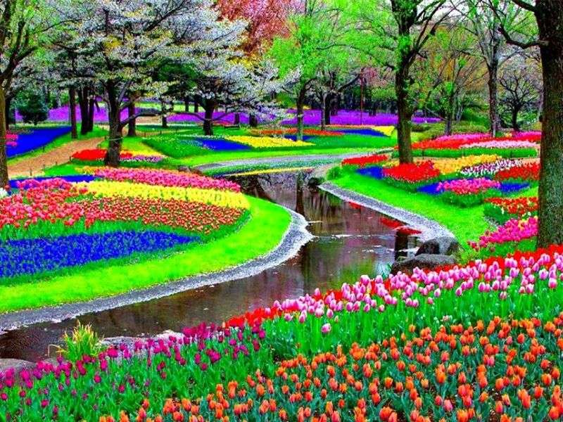 Ogród kwiatowy w Holandii puzzle online