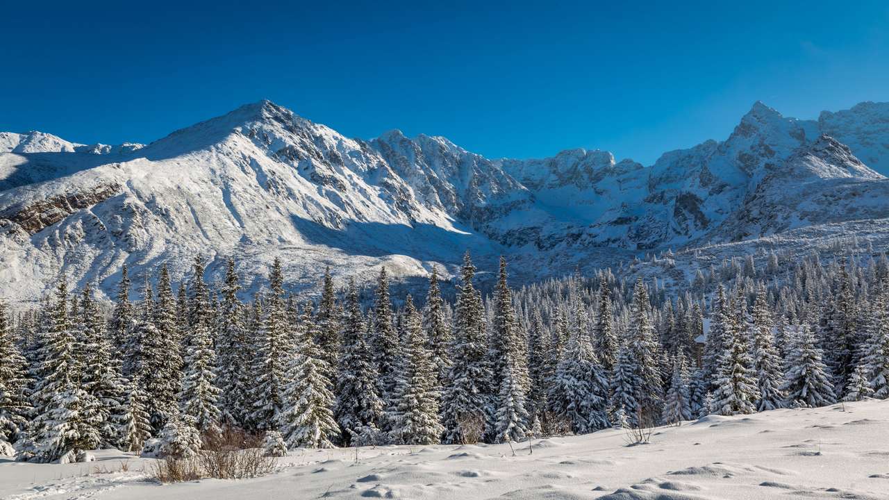 Śnieżna górska ścieżka zimą w Tatrach, Polska puzzle online