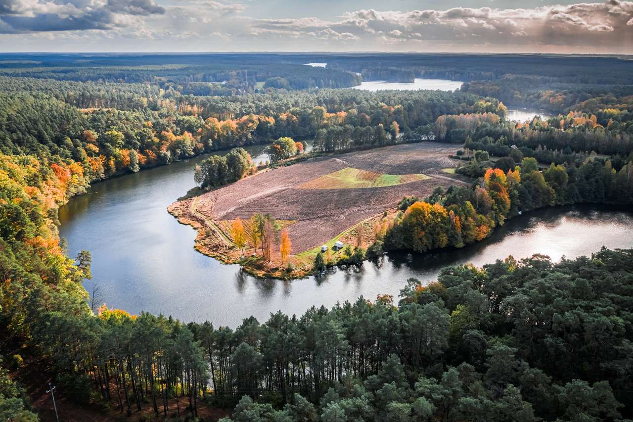 Wielka kręta rzeka i jesienny las, Polska puzzle online