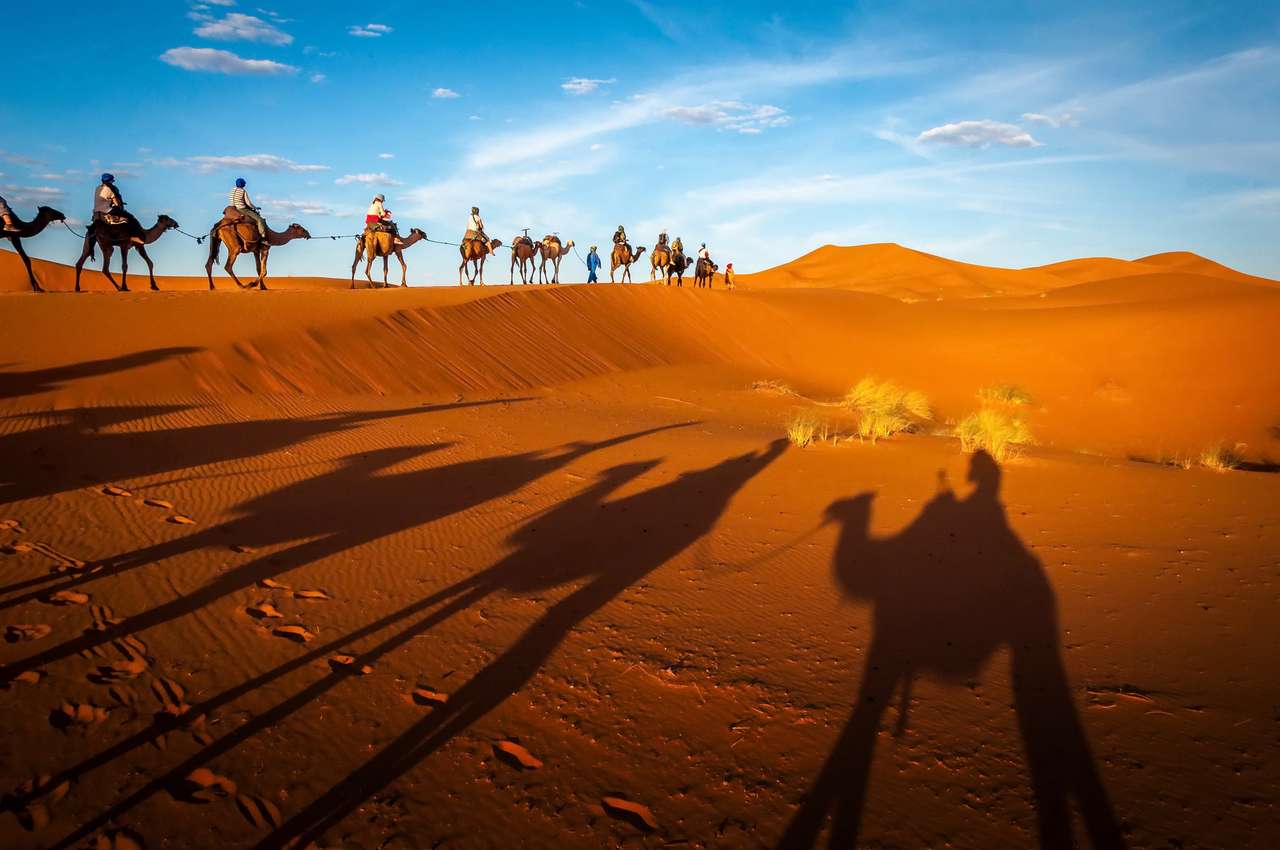 Trekking na wielbłądach na Saharze puzzle online