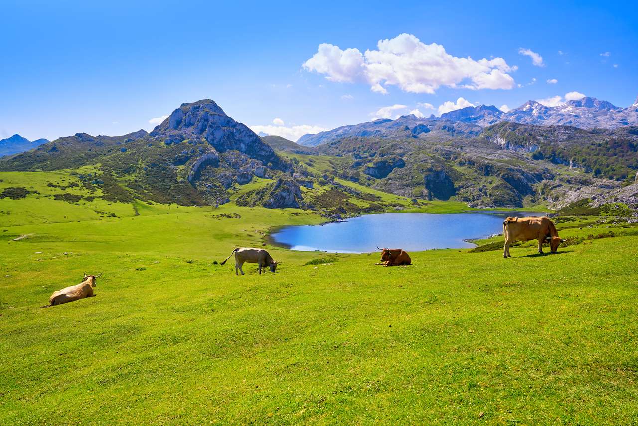 Jezioro Ercina w Asturii w Hiszpanii puzzle online