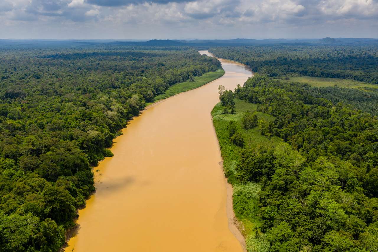 Rzeka Kinabatangan, Borneo puzzle online