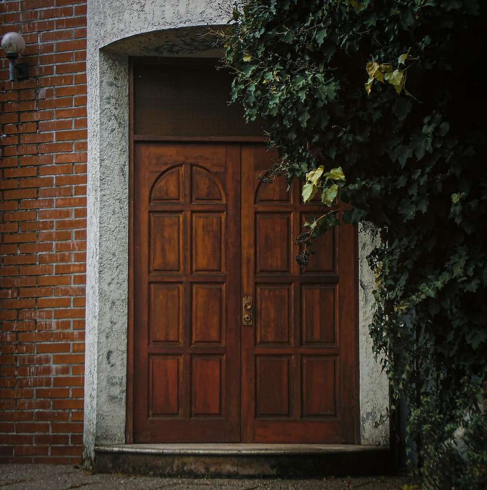 brązowe drewniane drzwi z zielonymi winoroślami puzzle online