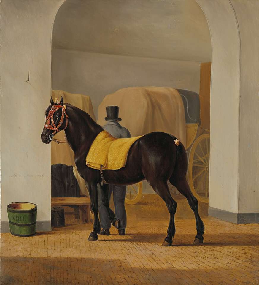 brązowy koń w białym pokoju malowania ścian puzzle online