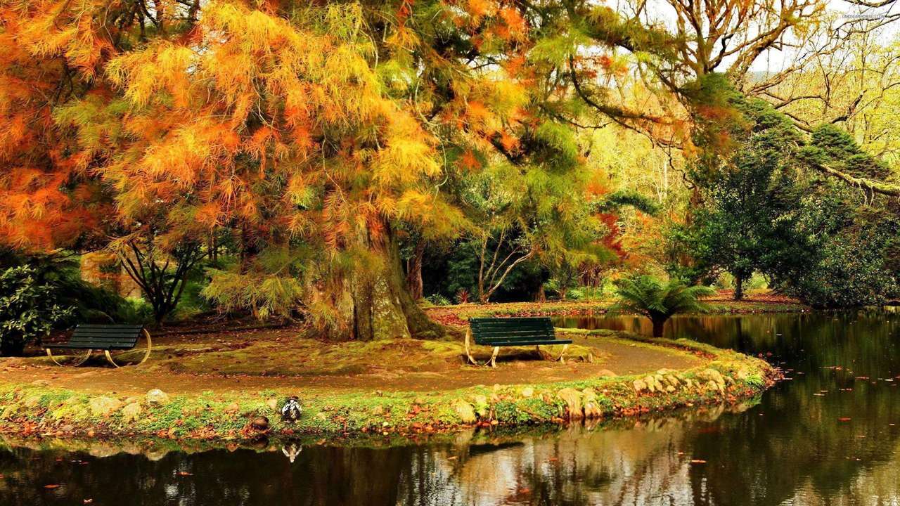 Jesień w parku puzzle online