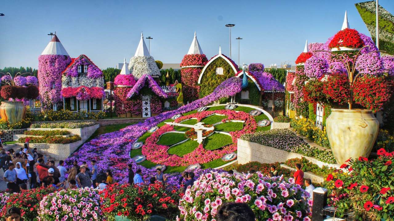 Ogród kwiatowy w Dubaju puzzle online