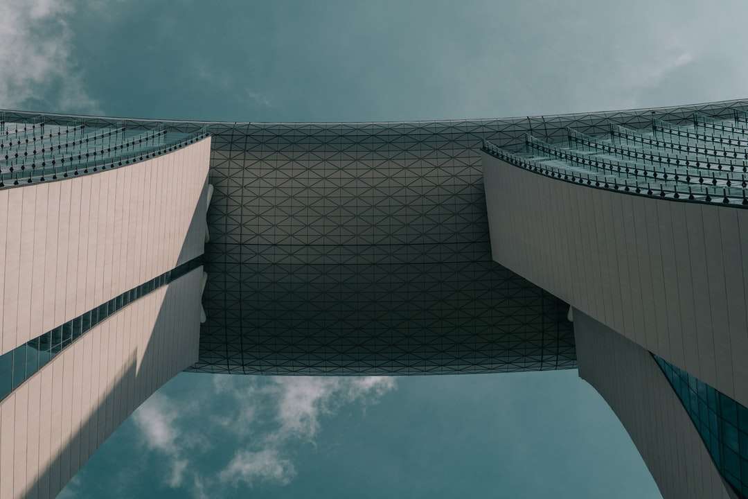 widok robaka zdjęcie szarego betonowego budynku puzzle online