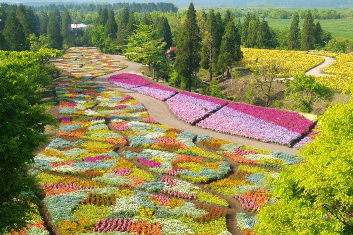 Wiosna w Kuju Flower Park, Japonia puzzle online