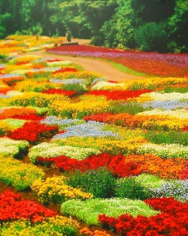 Park Kwiatów Kuju puzzle online