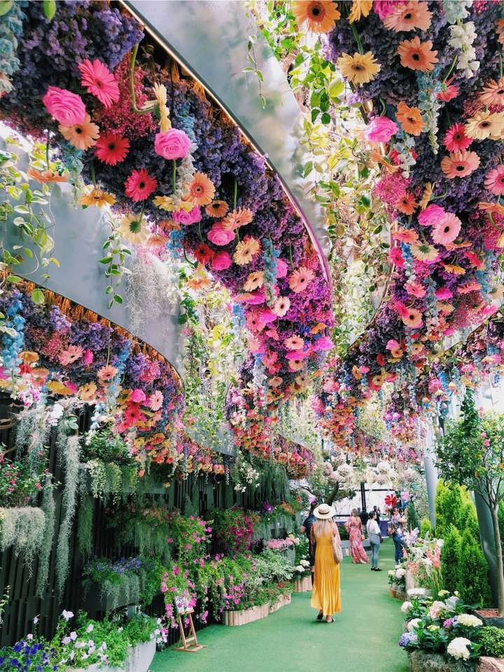 Wystawa kwiatów w Singapurze puzzle online