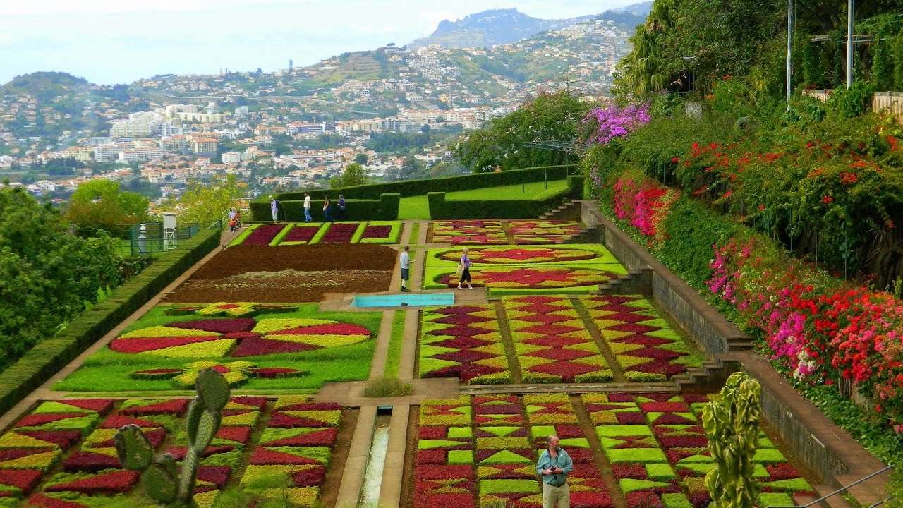 Ogród botaniczny Madery puzzle online