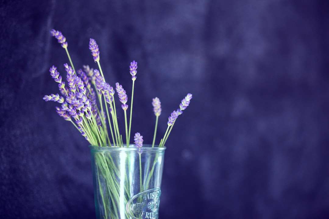 zbliżenie zdjęcie fioletowych płatków kwiatów w szkle puzzle online