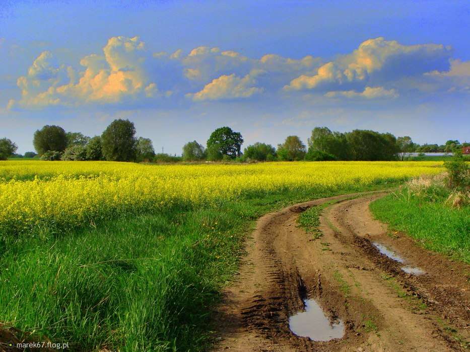 Sandy road in the countryside jigsaw puzzle