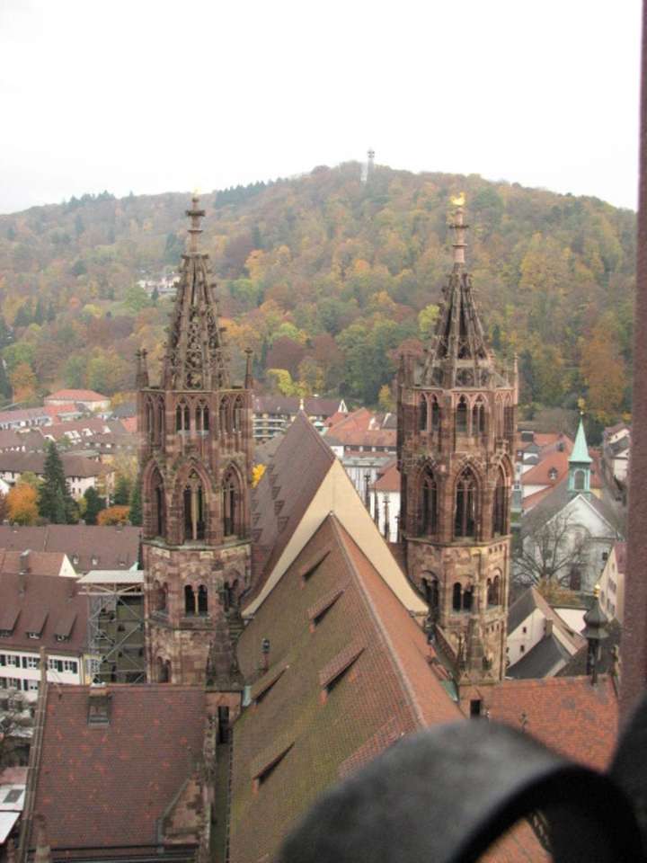 Dach katedry we Fryburgu Bryzgowijskim (1230) puzzle online