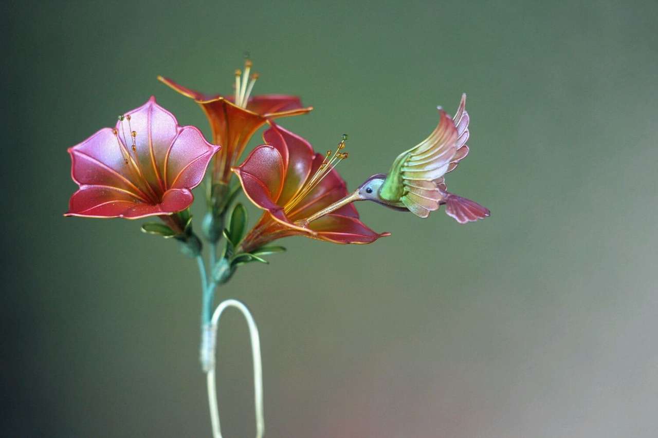 kwiaty i kolibry puzzle online