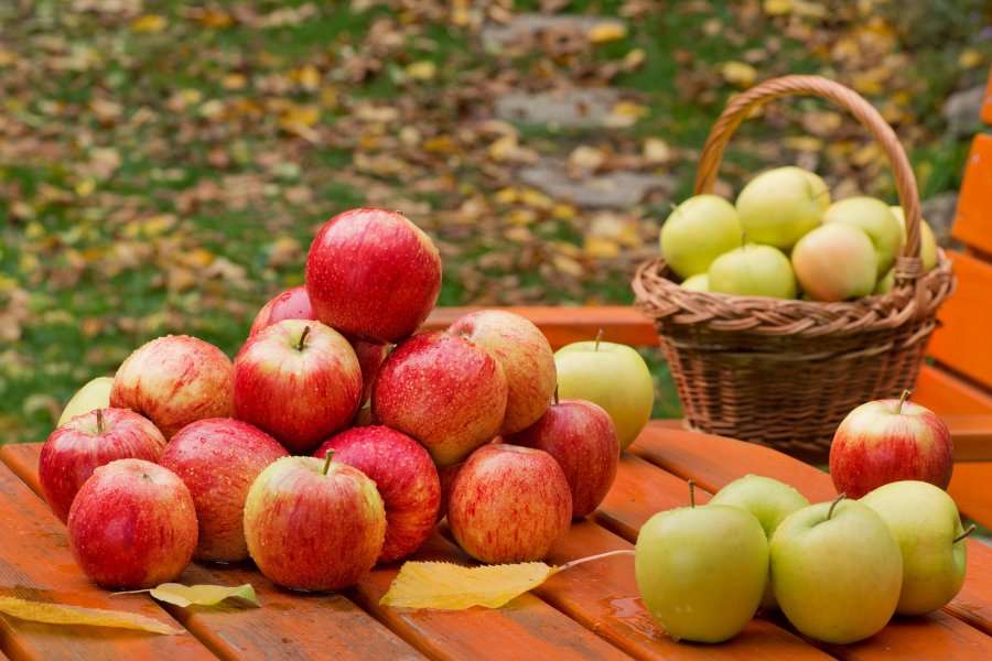 Wrześniowe jabłka puzzle online