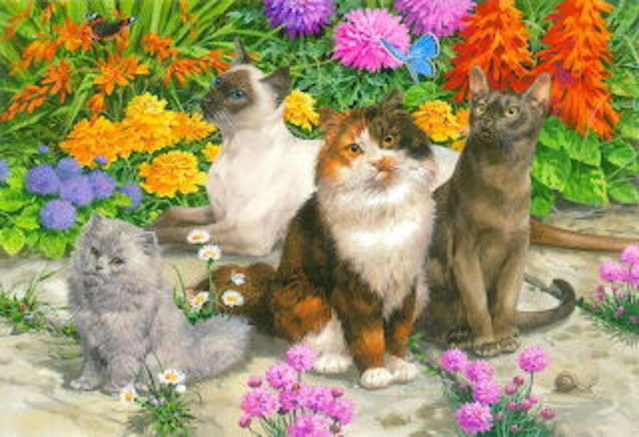 Piękne kocięta w ogrodzie puzzle online