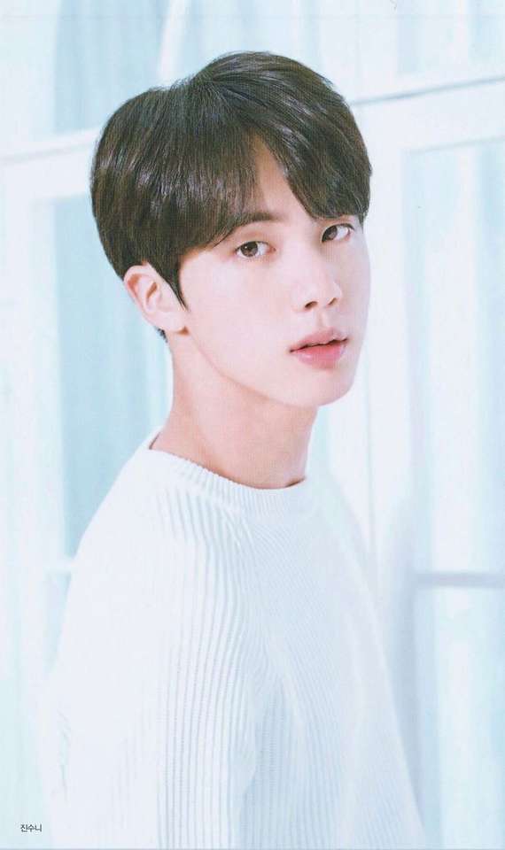 Nasza seokjin puzzle online