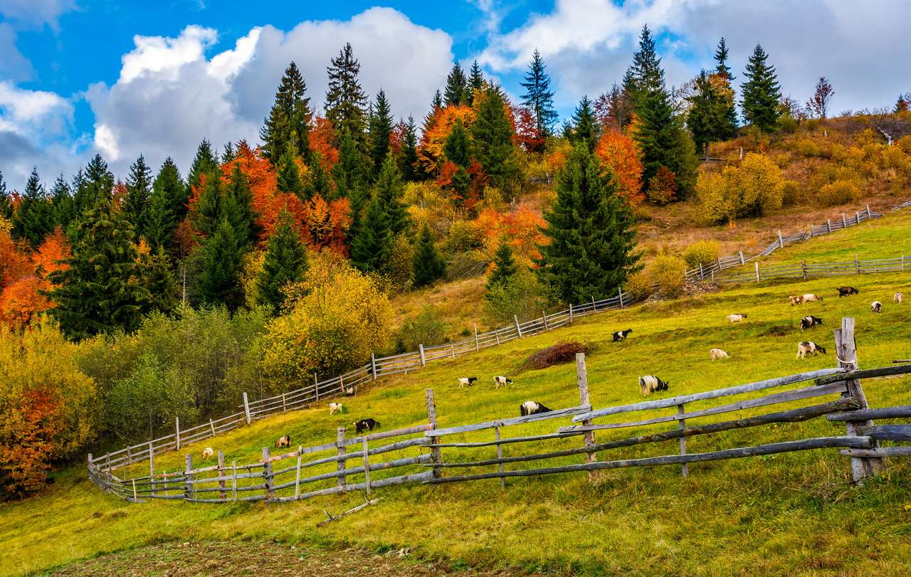 Schöne Landschaft im Herbst. Online-Puzzle