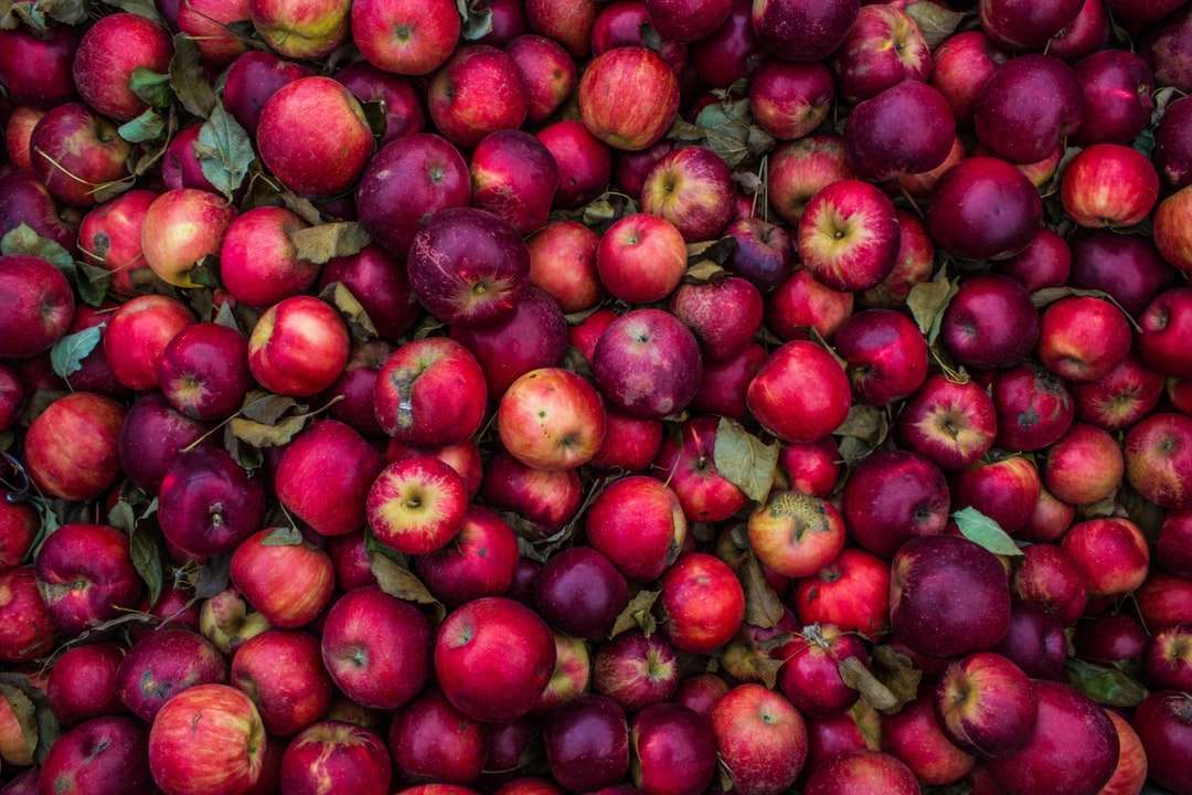 partia czerwonych jabłek puzzle online