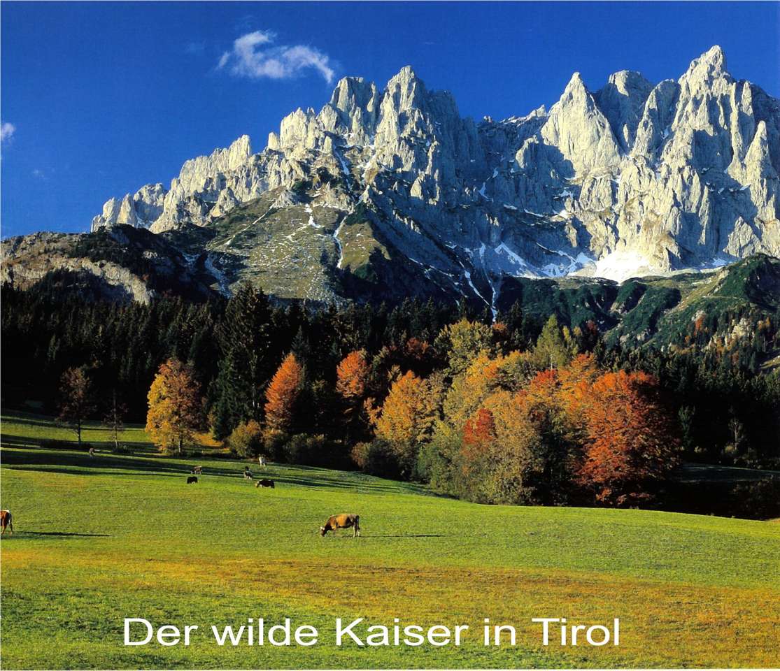 Wilder Kaiser jesienią puzzle online