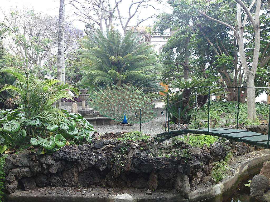 Jardín de la Marquesa de Arucas puzzle online