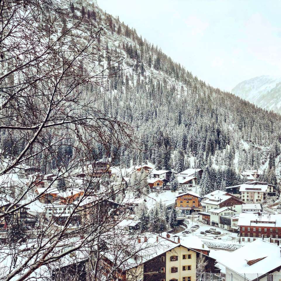 brązowe i białe domy w pobliżu pokrytej śniegiem góry puzzle online