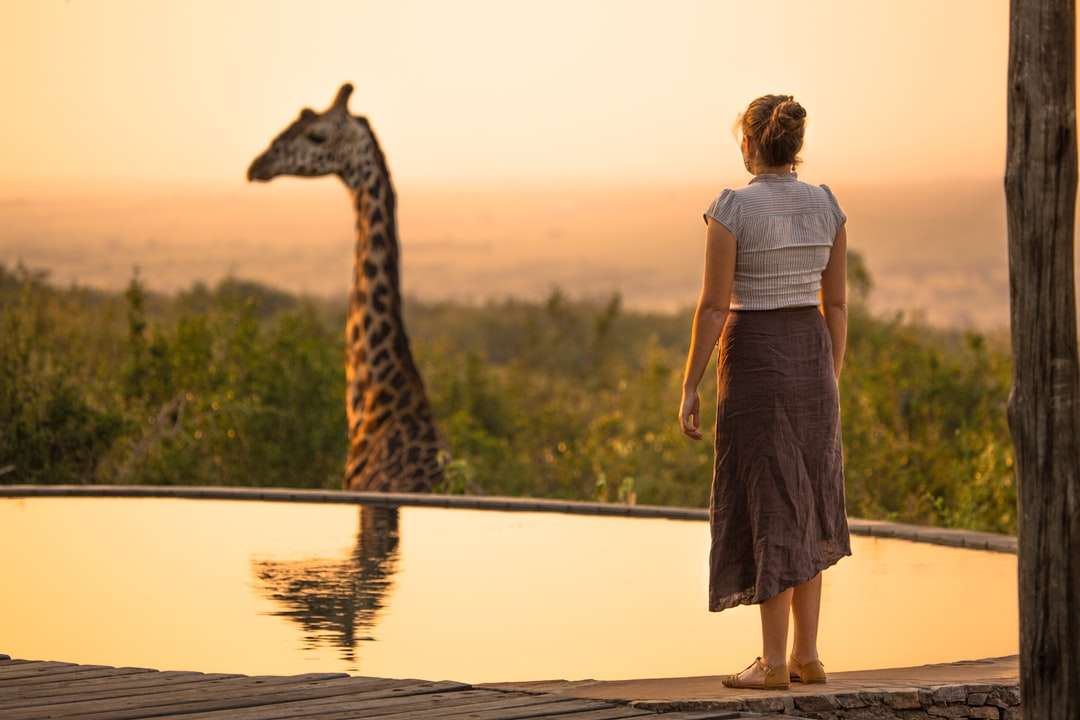 kobieta patrząca na brązową żyrafę z odbiciem na wodzie puzzle online