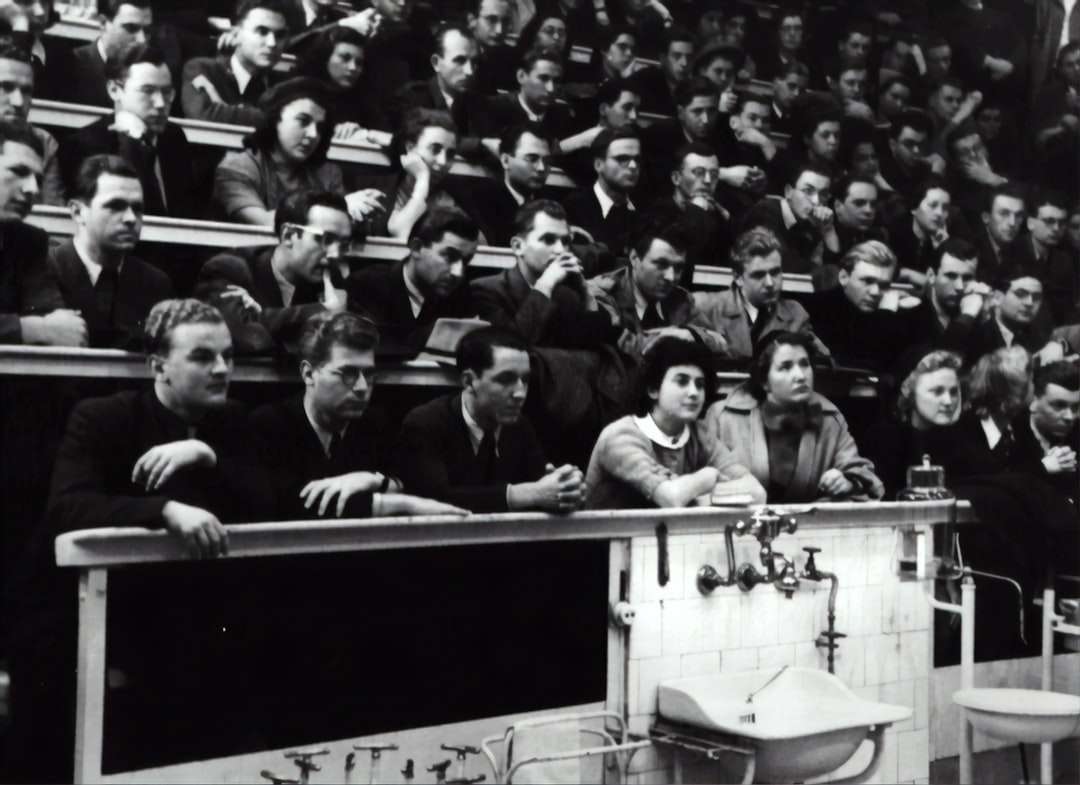 fotografia w skali szarości przedstawiająca ludzi siedzących na krześle tłumu puzzle online
