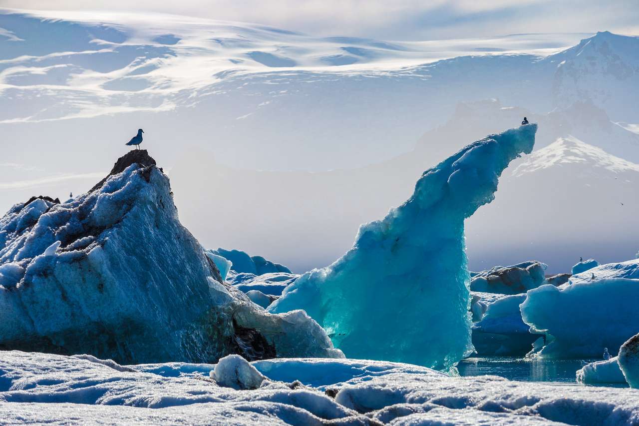Góry lodowe w lagunie lodowcowej Jokullsarlon puzzle online