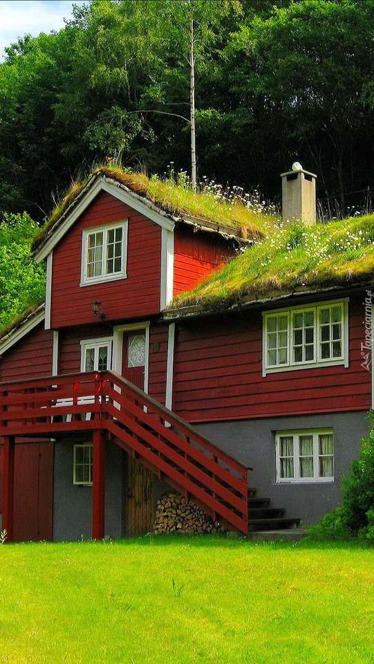 Dom pokryty mchem w Norwegii puzzle online