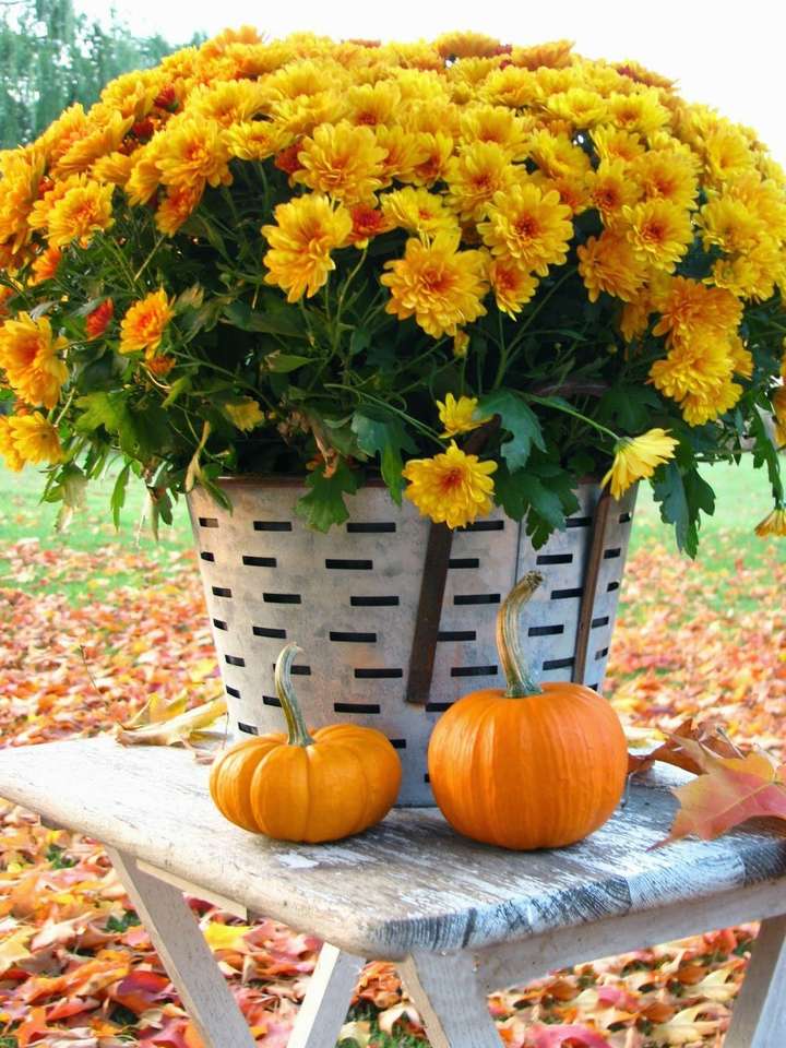 basket with chrysanthemums jigsaw puzzle