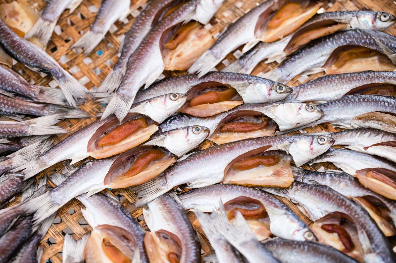 Tradycyjne solone suszenie ryb na stojakach puzzle online