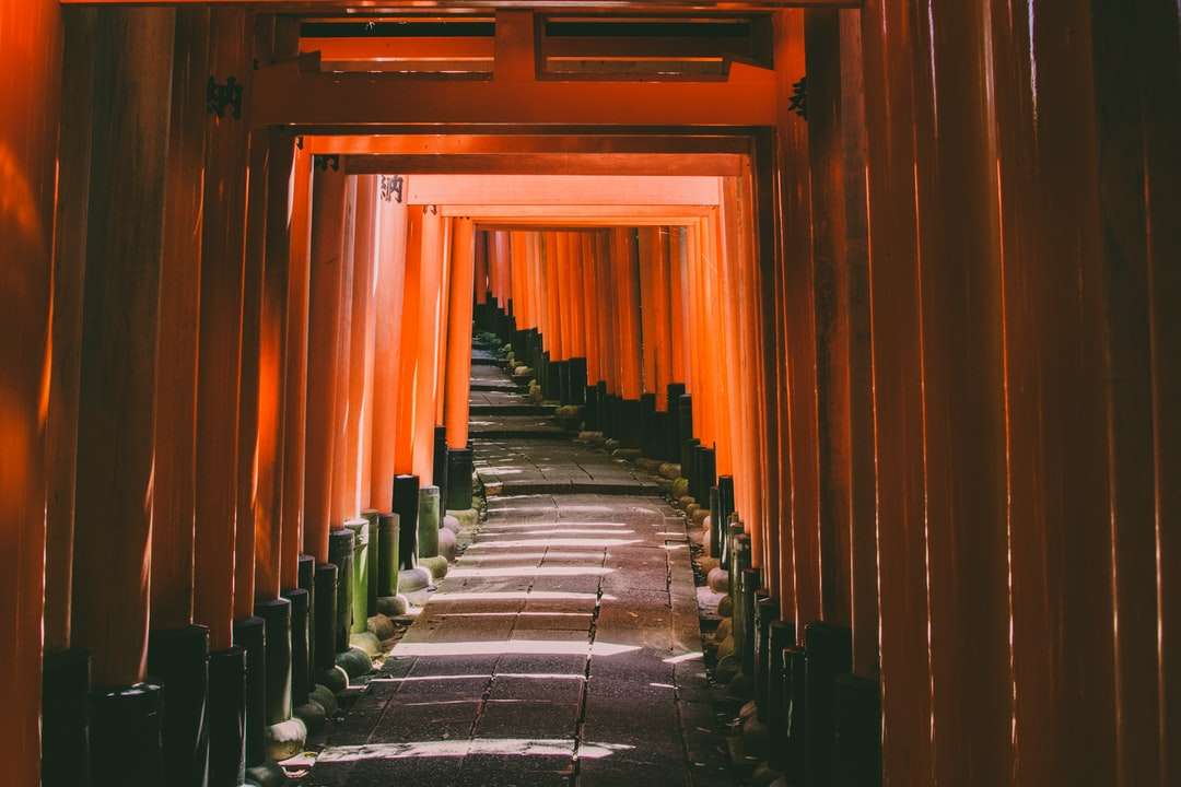 Ścieżka bramy tori w Kioto w Japonii prowadząca do świątyni puzzle online