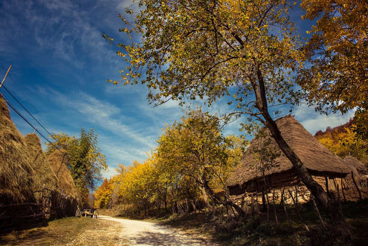 Górski jesienny krajobraz z kolorowym lasem. puzzle online