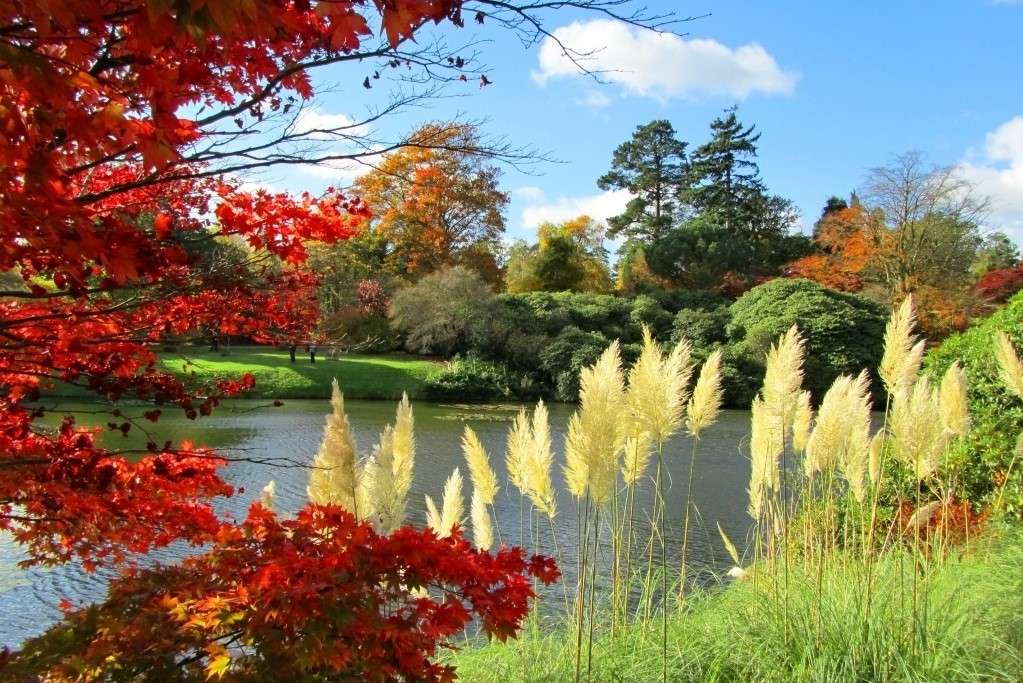 Podzim v parku s jezerem skládačka