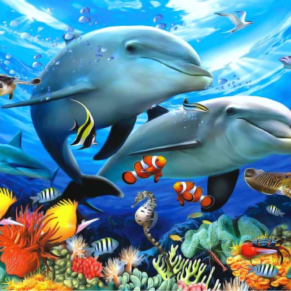 rafa koralowa z rybami i delfinami puzzle online