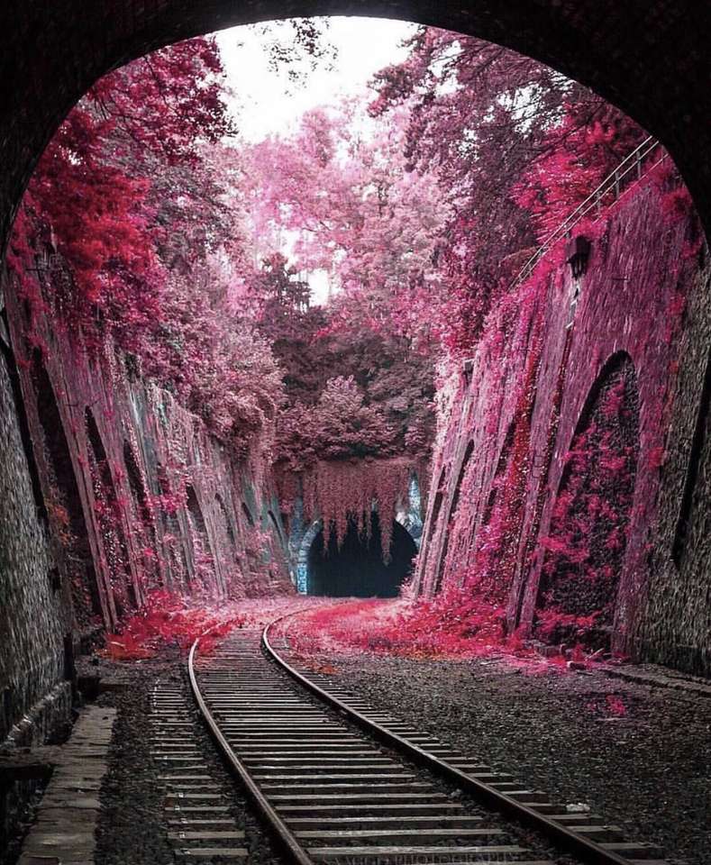jesienny tunel puzzle online