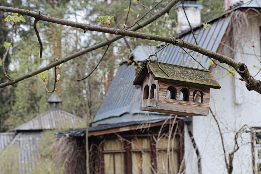 niebieski i brązowy drewniany dom na brązowej gałęzi! puzzle online