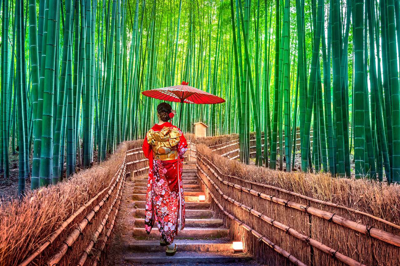 Mujer vistiendo kimono tradicional en el bosque de bambú rompecabezas
