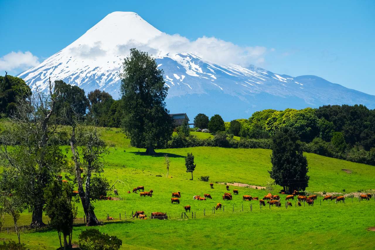 Wulkan Osorno, Chile puzzle online