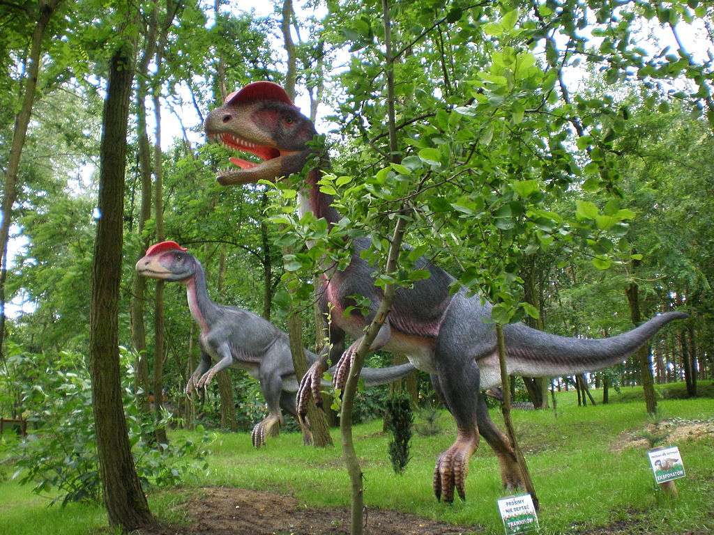 Parki dinozaurów w Polsce puzzle online